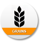 Grains